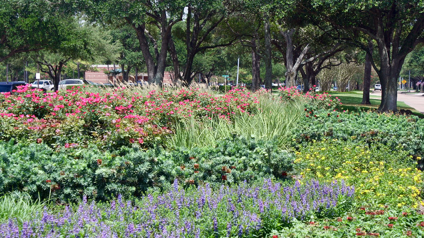 How Much Does Commercial Landscaping Cost in Dallas, TX?